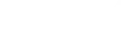 SNX Logo wht