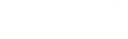 SNX Logo wht